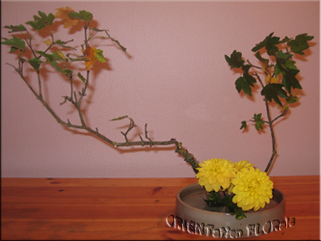 nature-ikebana-bordeaux